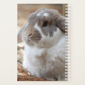 Lopoorkonijn Planner (Achterkant)