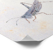 Loquats et une affiche de sauterelle (Coin)