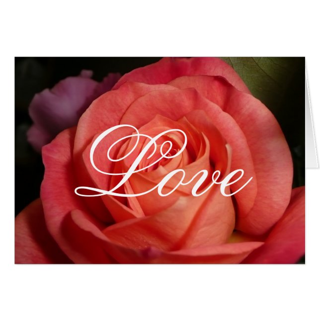 L'orange s'est levée (Devant horizontal)