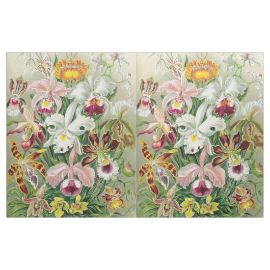 L'orchidée de Botancal fleurit le tissu floral de (Yard)