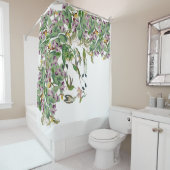 L'orchidée d'oiseaux de colibri fleurit le rideau (En situation)