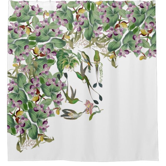 L'orchidée d'oiseaux de colibri fleurit le rideau (Devant)