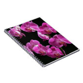 L'orchidée fleurit carnet (Côté Droit)