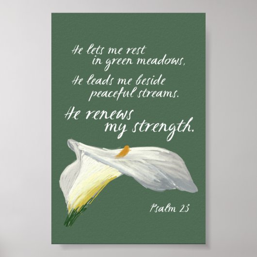 Lord is mijn Shepherd Psalm 23 Christelijke Bijbel Poster (Voorkant)