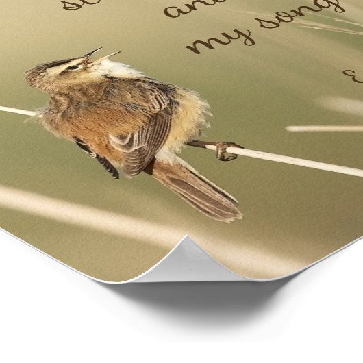 Lord is mijn Sterkte & Song Scripting Song Bird Poster (Hoek)
