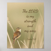 Lord is mijn Sterkte & Song Scripting Song Bird Poster (Voorkant)