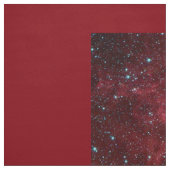 Lord Shiva - Tissu (Échantillon)