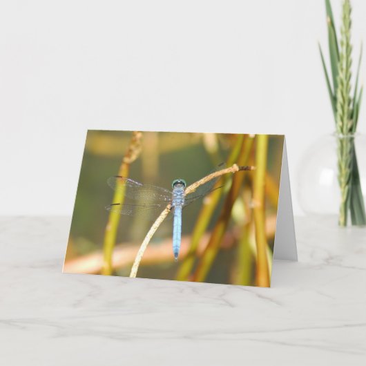 Lord van het Moeras Kaart (Voorkant)