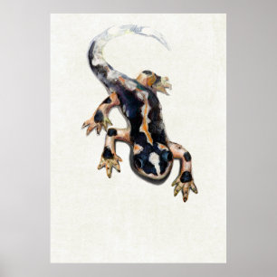 Lorestan's Salamander Scientific Illustration Poster