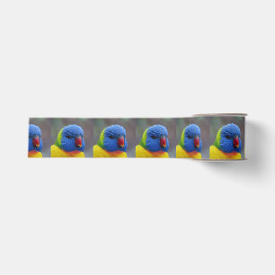 Lori_2015_0203 Grosgrain Lint