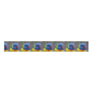 Lori_2015_0203 Grosgrain Lint