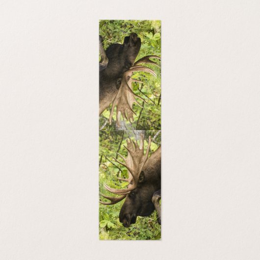 L'orignal (Outside Unfolded)