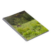 L'orignal dans le Carnet de l'herbe (Côté Droit)