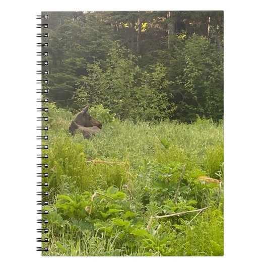 L'orignal dans le Carnet de l'herbe (Devant)