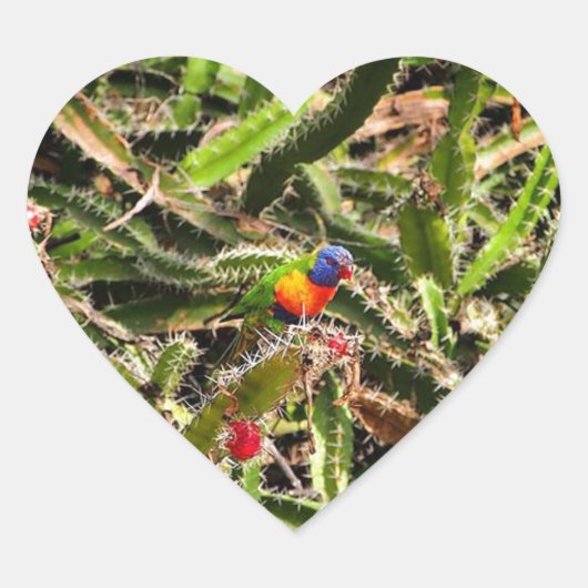 Lorikeet arc-en-ciel en cactus autocollant coeur (Devant)