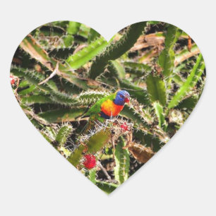 Lorikeet arc-en-ciel en cactus autocollant coeur