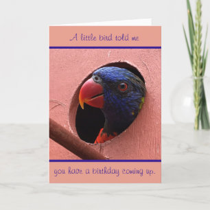 lorikeet verjaardagskaart kaart