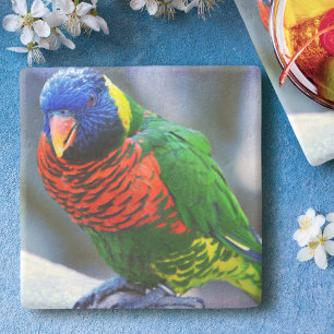 Loriket rood groen geel blauw vogel foto modern stenen onderzetter