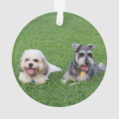 L'ornement de Hallie, mini Schauzer (dos)