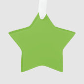 L'ornement de l'étoile "Catto" vert (dos)