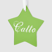 L'ornement de l'étoile "Catto" vert (devant)