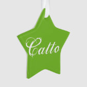 L'ornement de l'étoile "Catto" vert (devant)