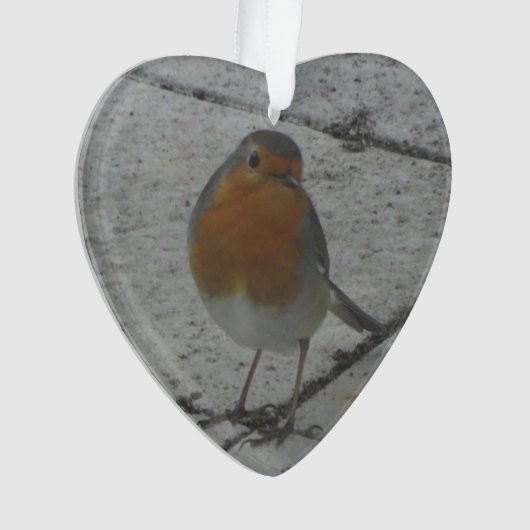 L'Ornement de Noël de Moura Robin (devant)