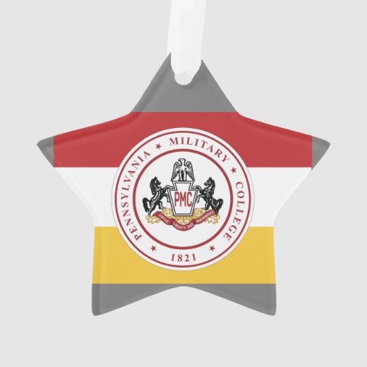 * L'ornement étoilé avec le logo de l'indicateur P (dos)