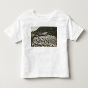 Los Angeles, CaliforniaView of a Pigeon Boerderij Kinder Shirts