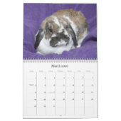 Los Angeles Rabbit Foundation - 2012 Kalender (Mar 2026)