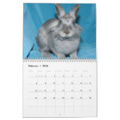 Los Angeles Rabbit Foundation 2013 Calendar Kalender (Feb 2026)