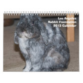 Los Angeles Rabbit Foundation 2013 Calendar Kalender (Hoes)