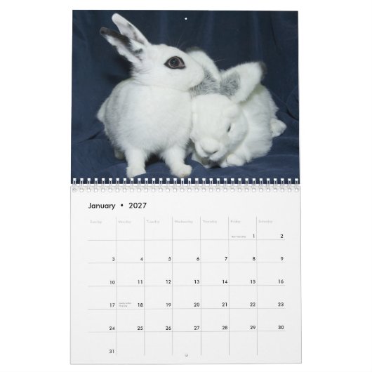 Los Angeles Rabbit Foundation 2013 Calendar Kalender (Jan 2027)