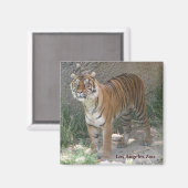 Los Angeles Zoo Magnet ! (Recto/Verso)