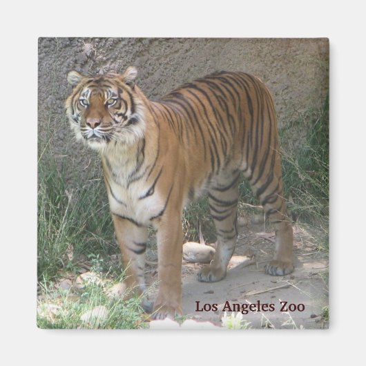 Los Angeles Zoo Magnet ! (Devant)