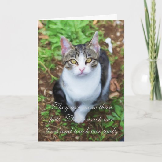 Loss of Cat Kaart (Voorkant)