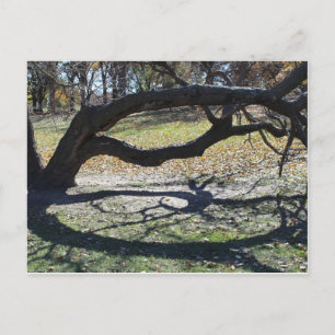 Losse Memorial Park # 36 Briefkaart