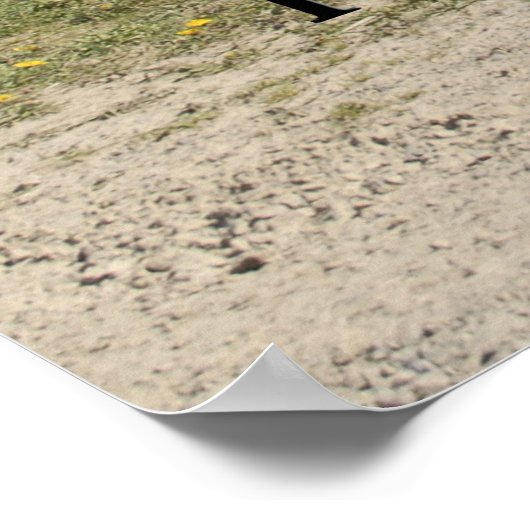 Losse Super Pro de Auto van de Belemmering Poster (Hoek)