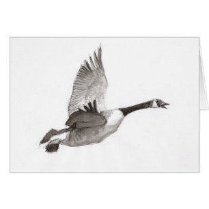 Losse vluchttekening