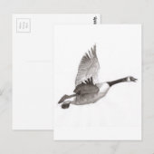 Losse vluchttekening briefkaart (Voorkant / Achterkant)