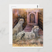 Lost City-cheetahs Briefkaart (Voorkant / Achterkant)