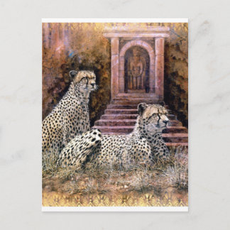 Lost City-cheetahs Briefkaart