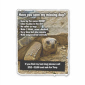 Lost Dog DOOBY Sticker (Voorkant)