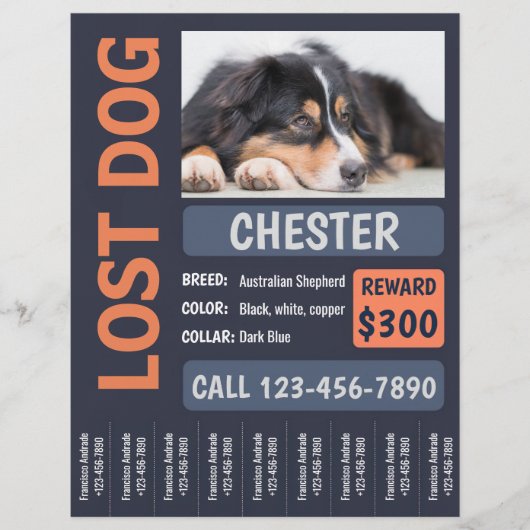 Lost Dog Missing Reward Poster Flyer (Voorkant)
