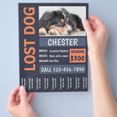 Lost Dog Missing Reward Poster Flyer (Hand)