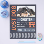 Lost Dog Missing Reward Poster Flyer (Enkel)