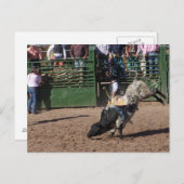 Lost Dutchman Bull Riding Briefkaart (Voorkant / Achterkant)