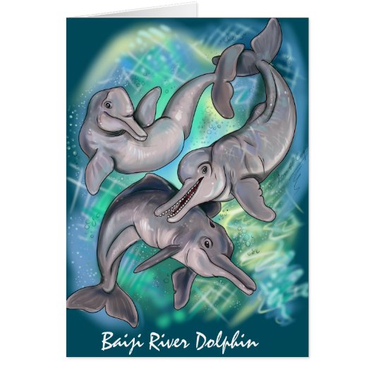 Lost Echos Baiji (Voorkant)