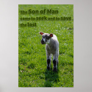 Lost lamsvlees poster