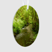 Lost Man Creek I au Redwood National Park (devant)